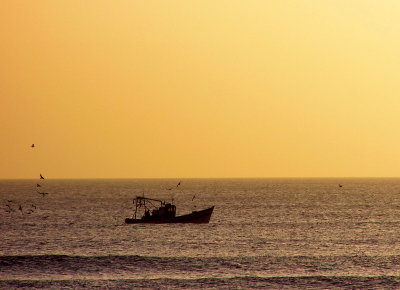 Catch Of The Dayby Photophile