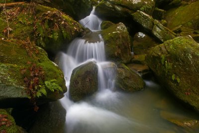 Creek cascade below  Anglin Falls