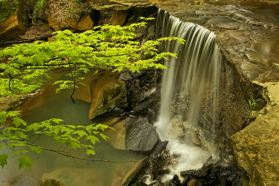 Small waterfall in Adams County, Ohio