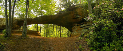 Princess Arch, Red River Gorge, Kentucky