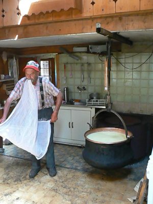 Cheese making