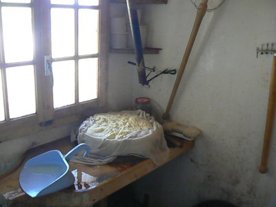 Cheese making