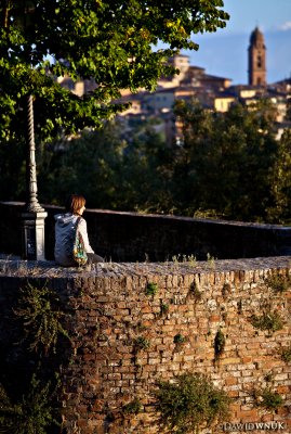 Siena Afternoon