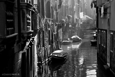 Good Morning, Venice