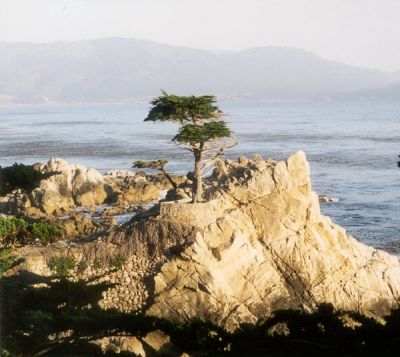 Monterey Peninsula, California