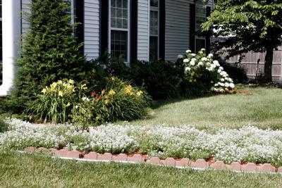 Flowers near the front door