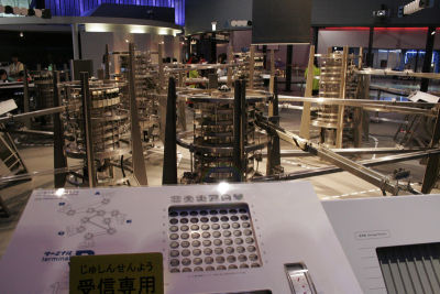 _MG_5077.jpg