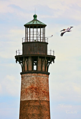 MORRIS ISLAND LIGHTHOUSE_6657.jpg