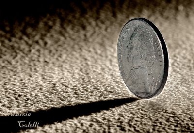 A NICKEL FOR YOUR THOUGHTS_3095.jpg