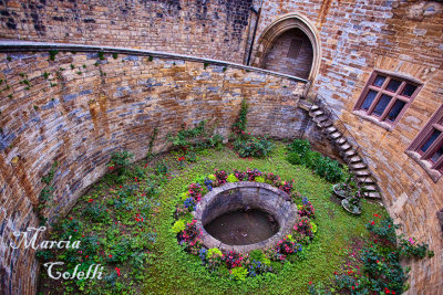 HOHENZOLLERN CASTLE GARDEN_6784.jpg