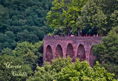 HEIDELBERG CASTLE BRIDGE_4132.jpg