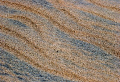 SAND_5076 .jpg