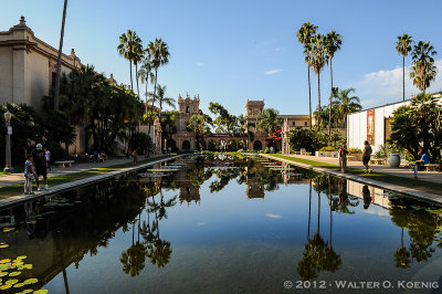 The Lily Pond in Balboa Park