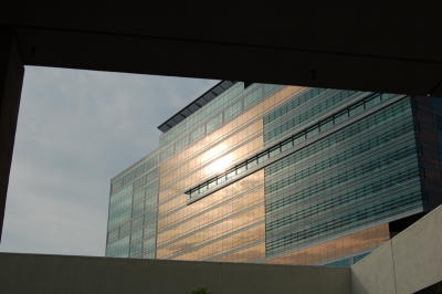 Afternoon Reflection