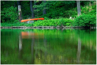 Pine Lake reflection.