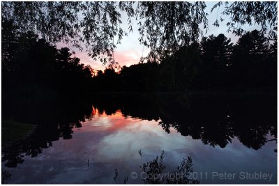 Pine Lake sunset.