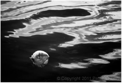 Floating feather.