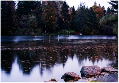 Low light Pine Lake.