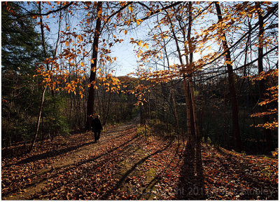 The path to light and shadow?