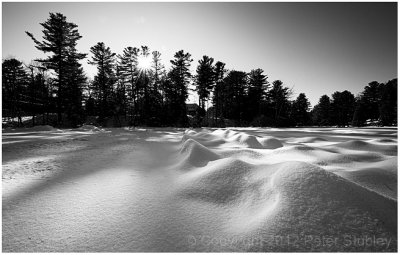 Frozen Pine Lake.