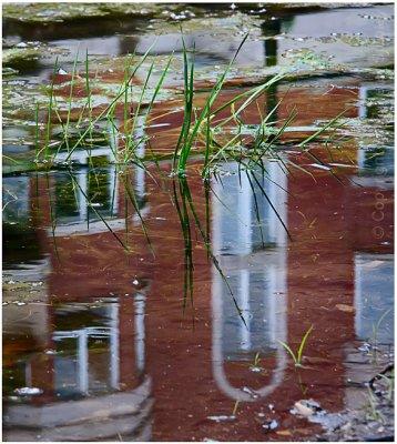 Apartment reflection.