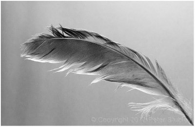 Feather light.