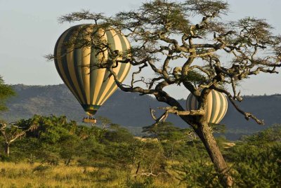 Hot Air Balloons over Serengeti