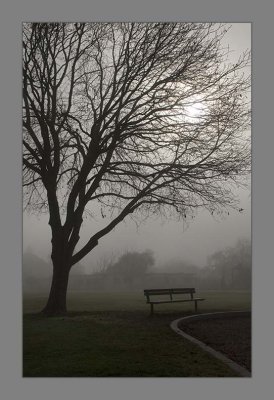 Fog in the Park