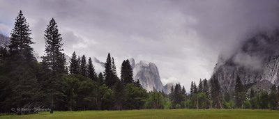 841_0757-59_s-P_Sentinel-meadow.jpg