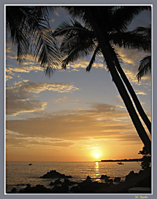 Tropical end of day_368
