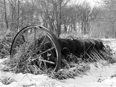 Photo of the Week galleries from 2007