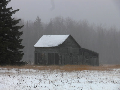 Photo of the Week December 15-21