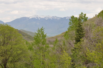 Utah landscape