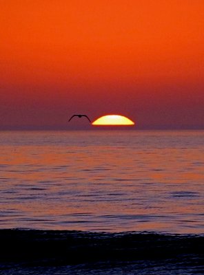 south_florida