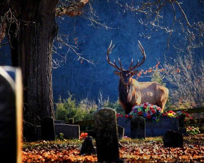 JYD at Beechwoods Cemetary