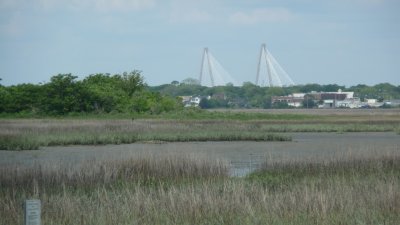 The Arthur Ravenel Jr. Bridge is the longest cable-stayed bridge in the Americas. It looks like a 2-masted sailing ship.