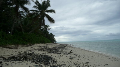 There are similar sights, if you walk to the left.  The pebbly stretches of beach were treasure troves of small shells.