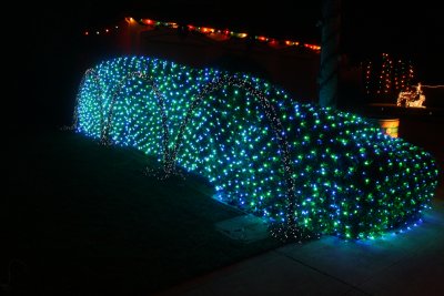 IMG_3921.jpg