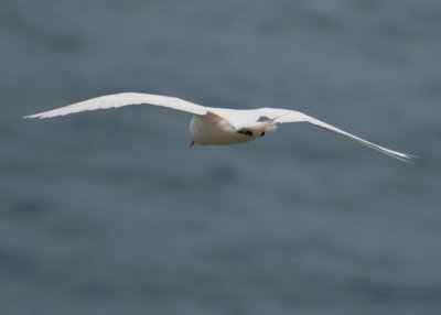 IMG_5298B.jpg