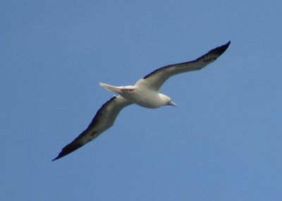 IMG_5347B.jpg