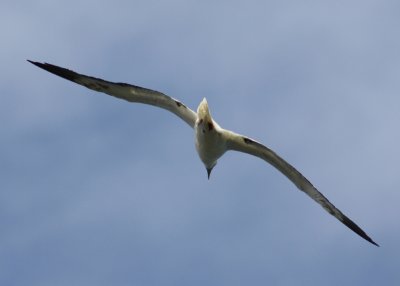 IMG_5355B.jpg