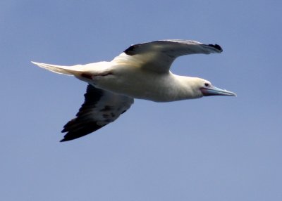 IMG_5356B.jpg