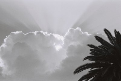 sunset c.jpg