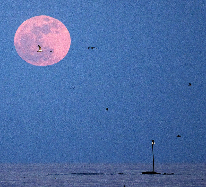 Moon Night in Kennebunk