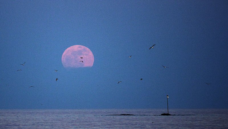 Moon Night in Kennebunk