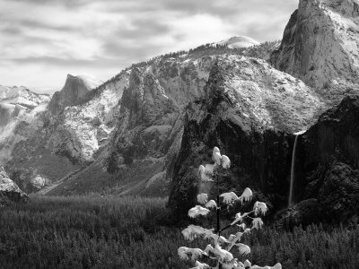 P3310507 - Yosemite Valley BW.jpg