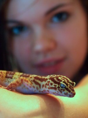 P7211906 - Elizabeths Gecko.jpg