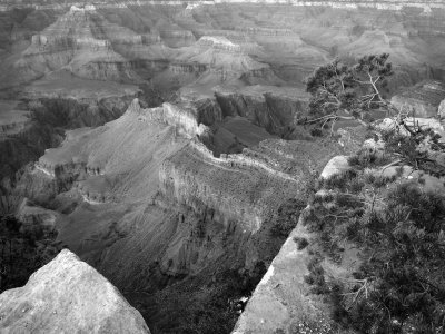 P3102228 - Grand Canyon View.jpg
