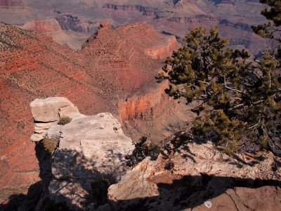 P3112264 - South Rim View.jpg