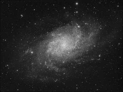 M33. The Triangle galaxy